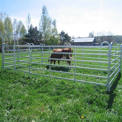 Galvanizované panely skotu